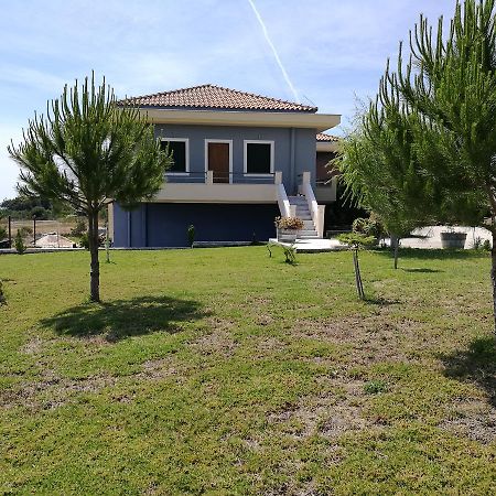 Alekos Beach Houses-Angelo Ликсури Экстерьер фото