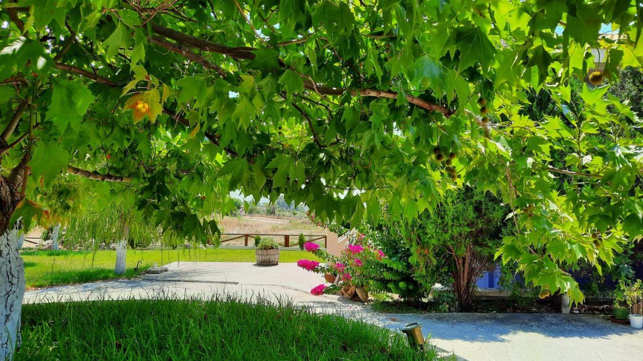 Alekos Beach Houses-Angelo Ликсури Экстерьер фото